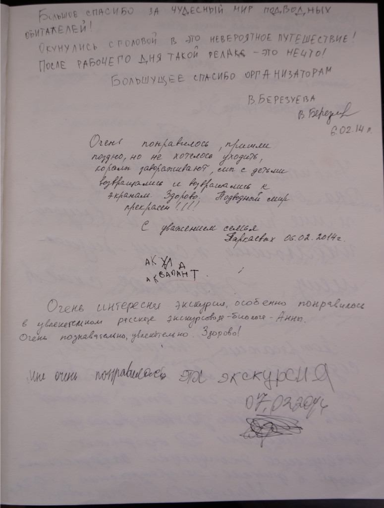 Отзыв11